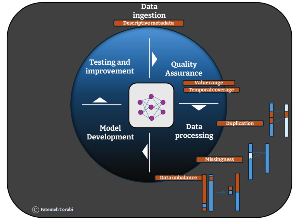 Stages involved in AI model development