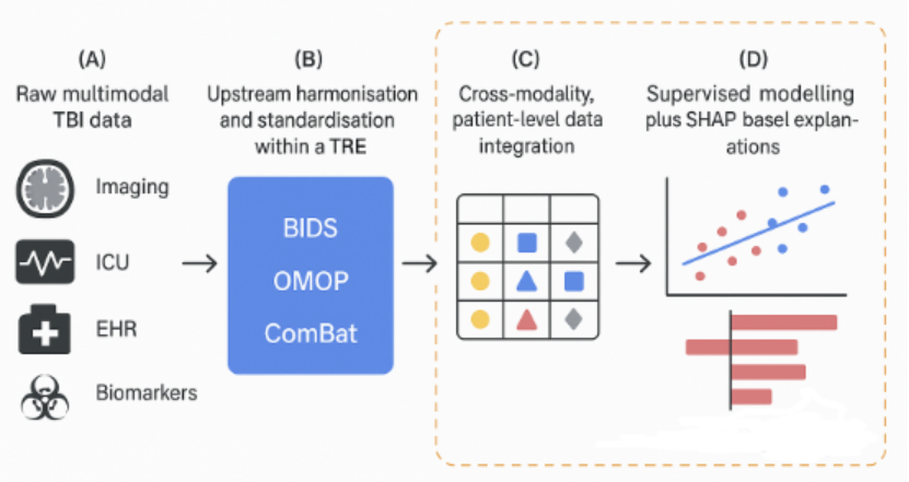 Four-stage pipeline diagram: raw multimodal TBI data, upstream harmonisation (BIDS, OMOP, ComBat) within a TRE, cross-modality patient-level integration, and supervised modelling with SHAP explanations.