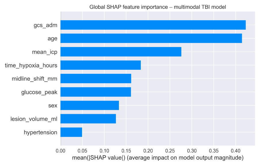 SHAP bar chart of mean absolute SHAP value per feature.
