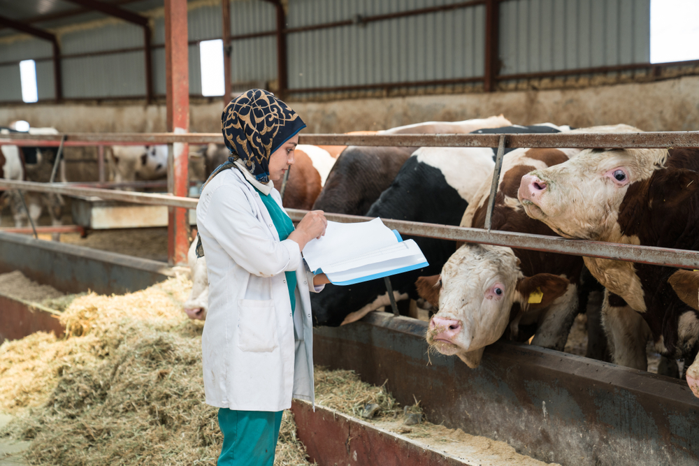 A veterinary practitioner taking notes on a herd of cows in a barn.