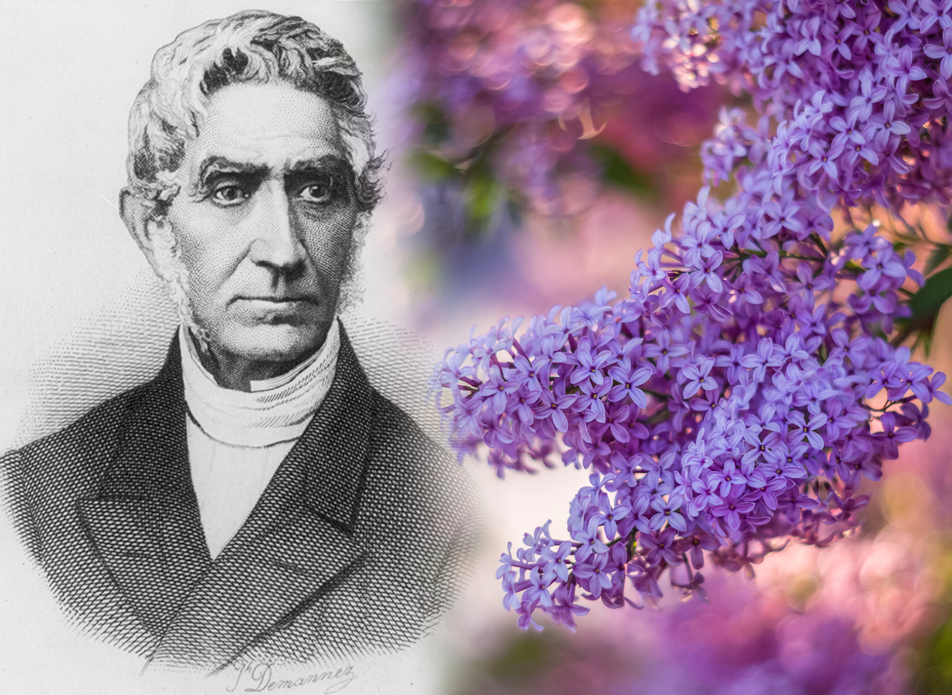 Portrait of Adolphe Quetelet, superimposed on a photo of blooming purple lilacs. Quetelet portrait from Wikimedia Commons, Public Domain. Lilacs photo by Arina Bogachyova/iStock.